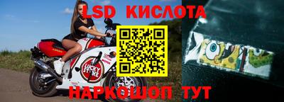 шишки Берёзовский