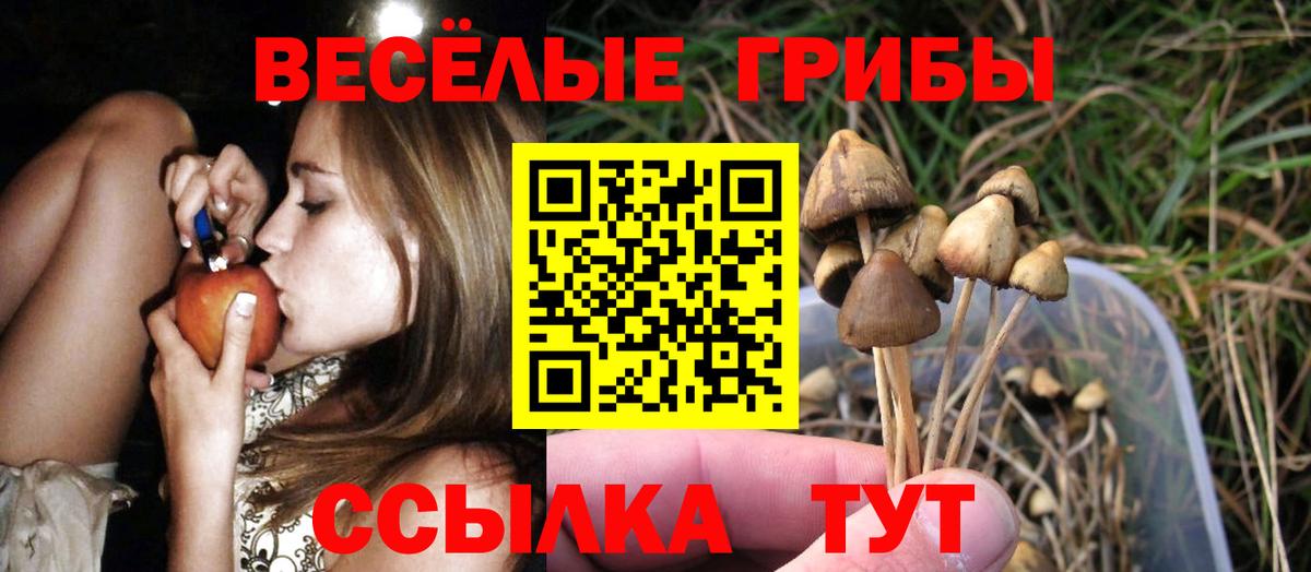 наркота  Псилоцибиновые грибы Psilocybe  Вход с VPN  Кемерово 
